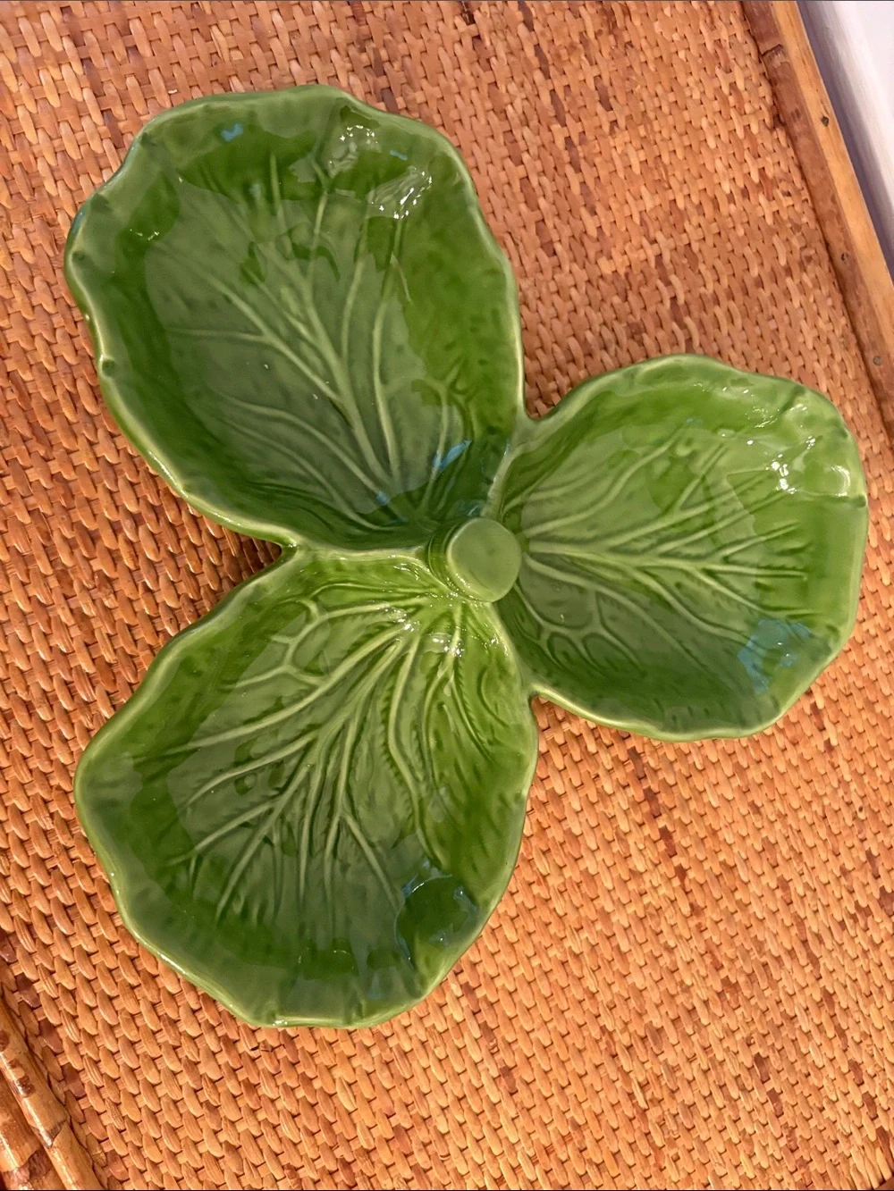 Viva green stylish cabbage